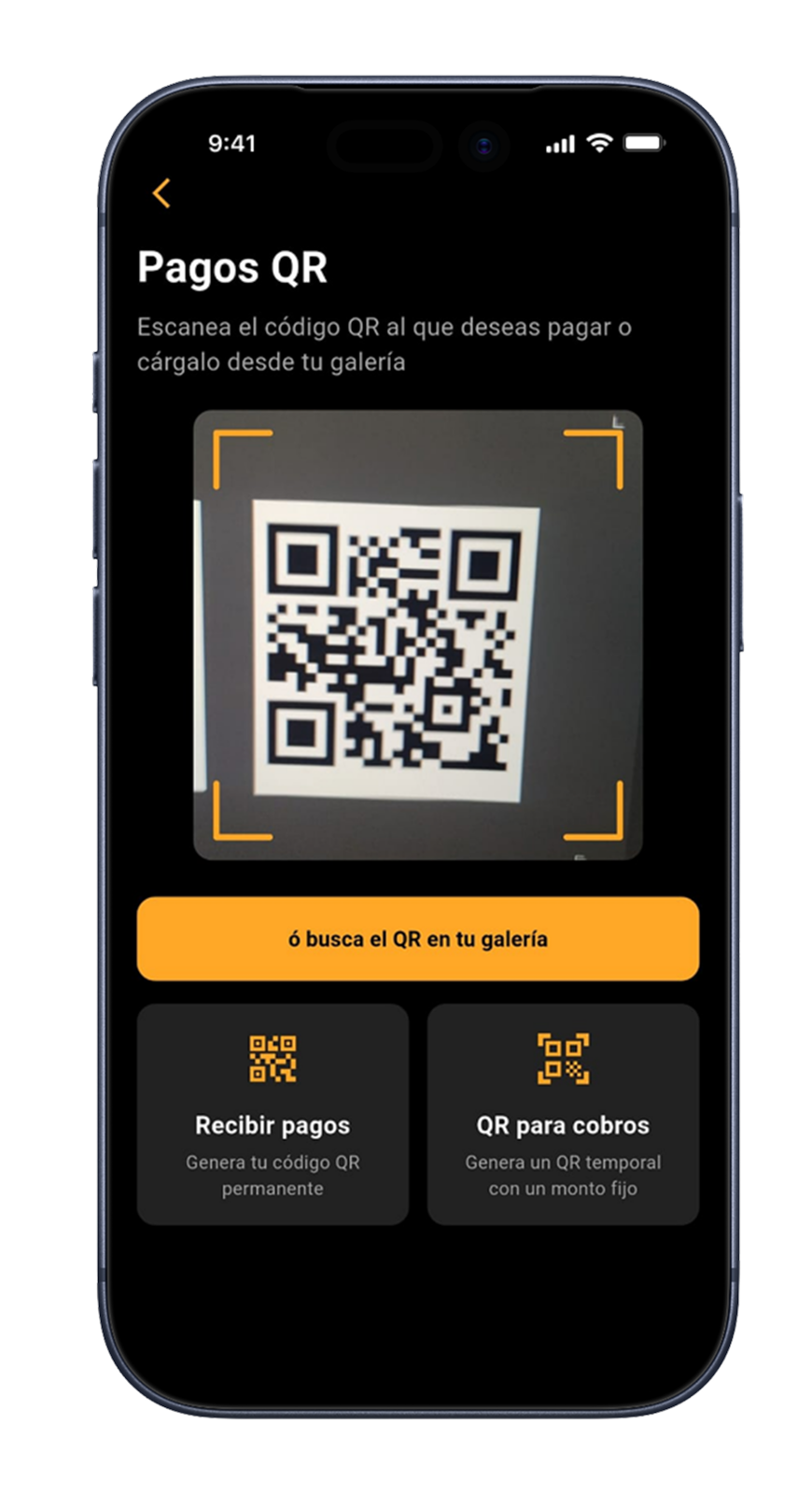 PAYSAT App Screen 1