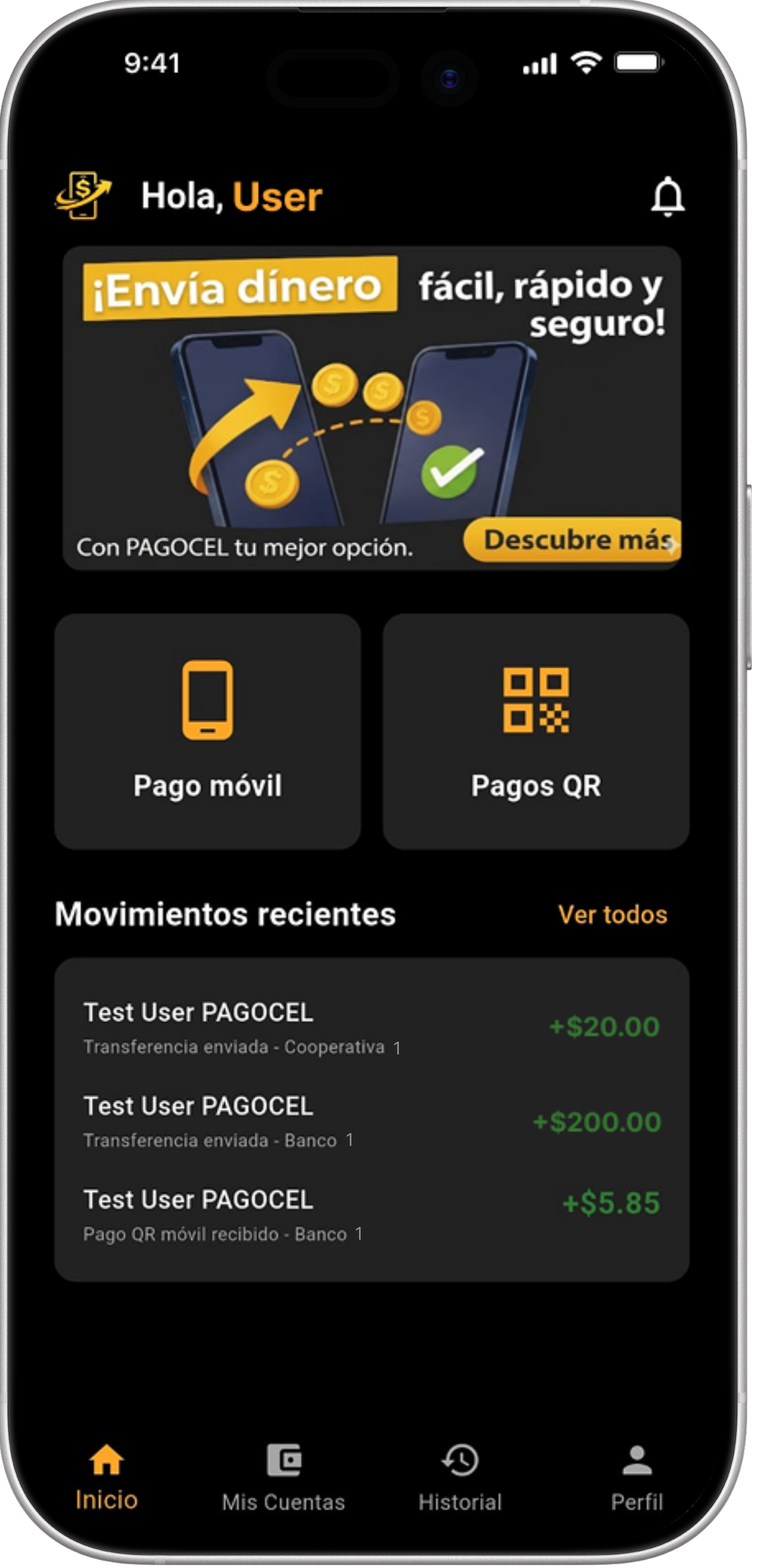PAYSAT App Screen 3